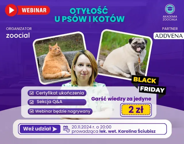 Przyczyny otyłości u psów