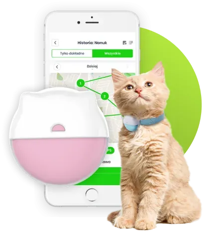 Jak działa GPS dla kota