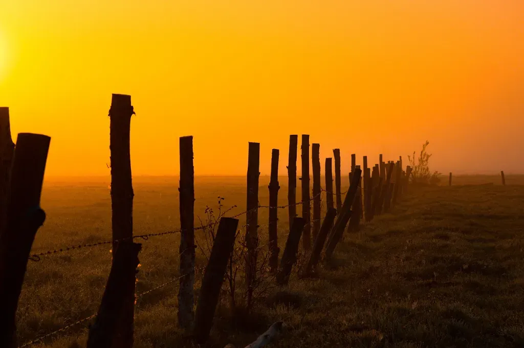 Izolatory do pastucha